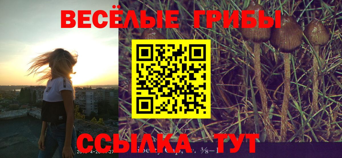 Псилоцибиновые грибы ЛСД  Псилоцибиновые грибы MAGIC MUSHROOMS  Великие Луки  Вход с VPN 